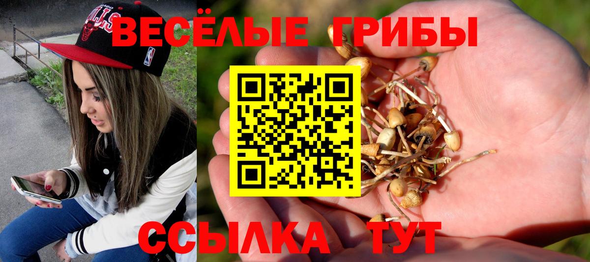 Рассказово  Галлюциногенные грибы мухоморы  Вход с VPN 